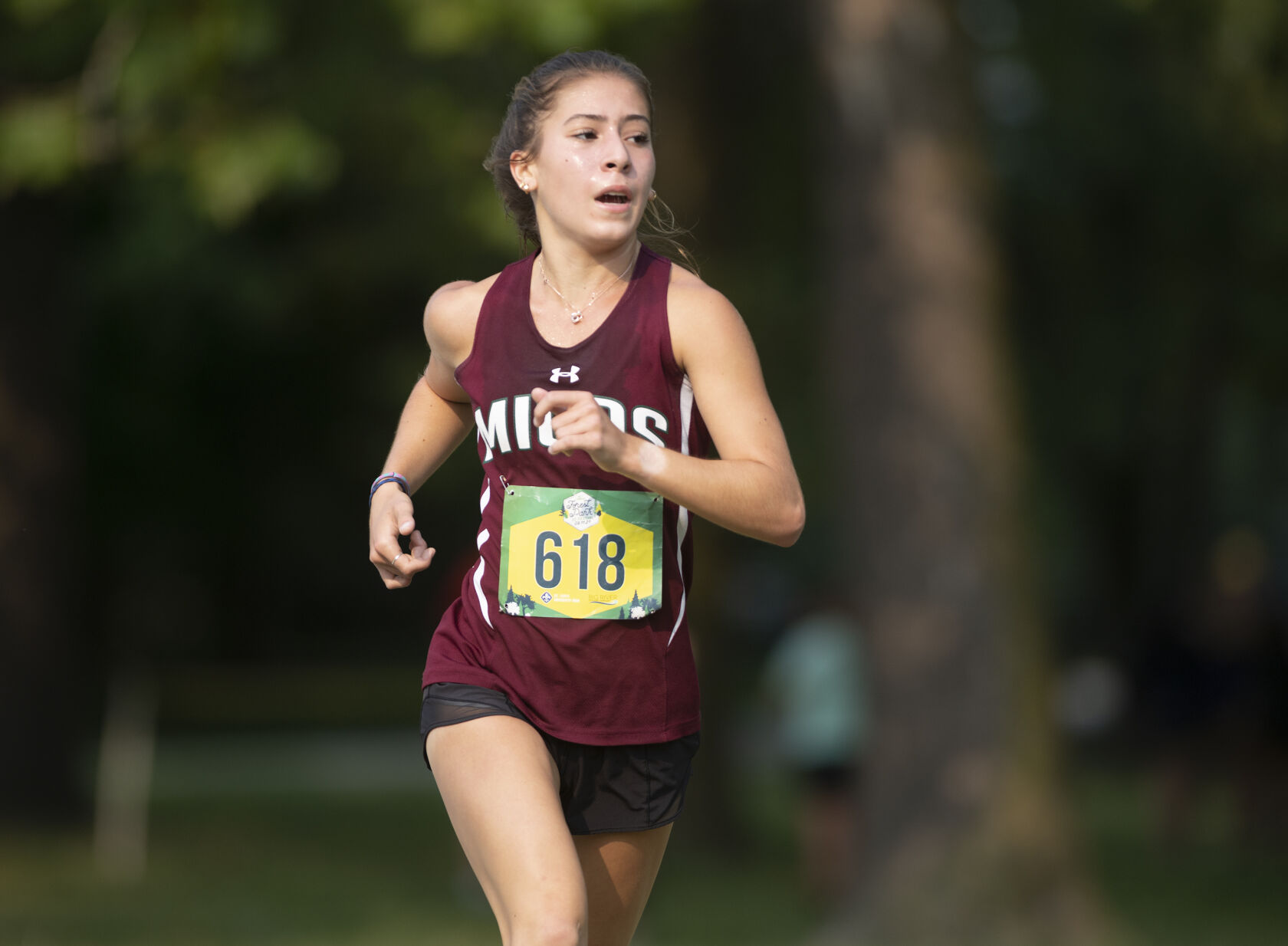 Forest Park Festival girls cross country